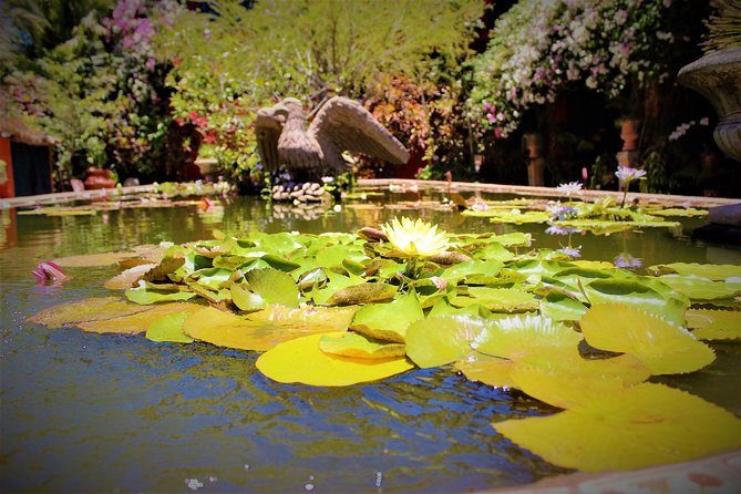 Vallarta Botanical Garden and Tequila Tasting from Puerto Vallarta - Practical ways to make the day better