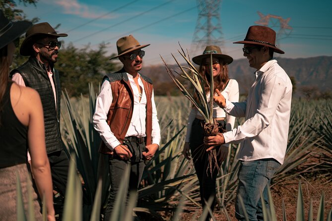Vip Tequila Experience - Walking through Tequila town