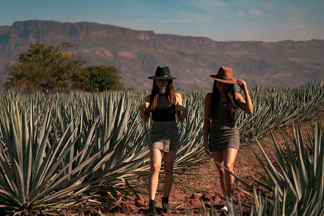 Vip Tequila Experience - The guides make the day