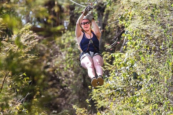Ziplines and mezcal tasting - Key points before you book