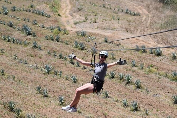 Ziplines and mezcal tasting - Is $99 a fair price?